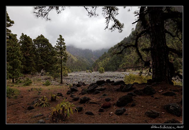 La Palma - Caldera Taburiente -