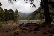 La Palma - Caldera Taburiente -