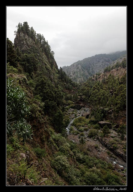 La Palma - Caldera Taburiente -