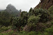 La Palma - Caldera Taburiente -