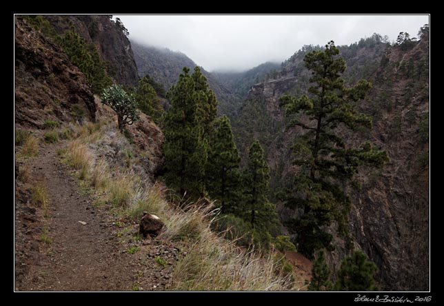 La Palma - Caldera Taburiente -