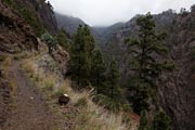 La Palma - Caldera Taburiente -