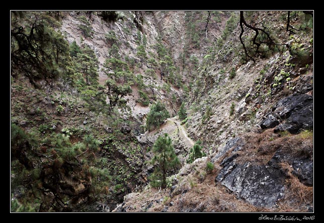 La Palma - Caldera Taburiente -