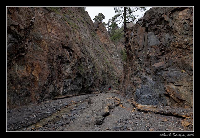 La Palma - Caldera Taburiente -