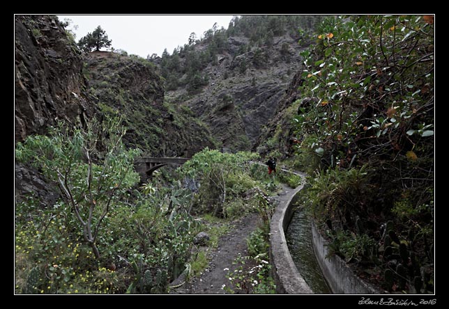 La Palma - Caldera Taburiente -