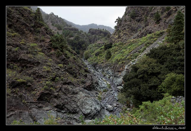 La Palma - Caldera Taburiente -