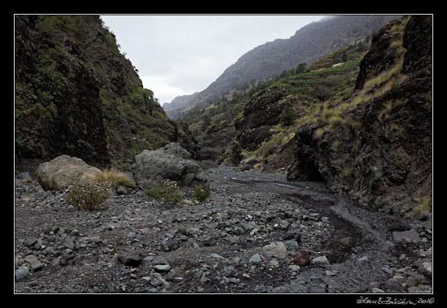 La Palma - Caldera Taburiente -