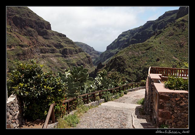 Gran Canaria - Barranco de Guayadeque