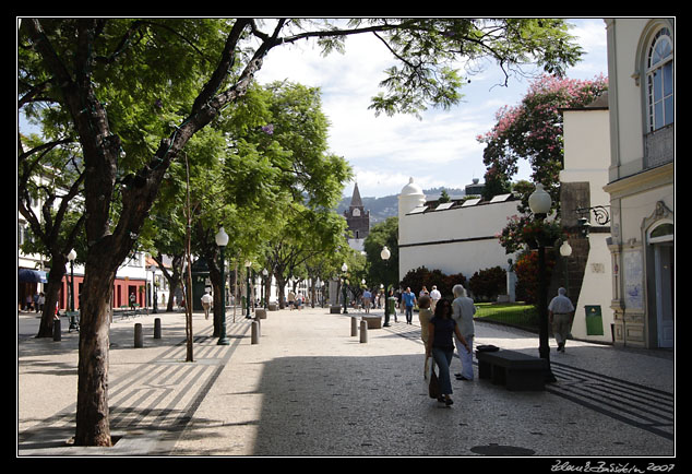 Avenida Arriaga in Funchal