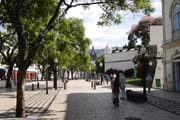 Avenida Arriaga in Funchal