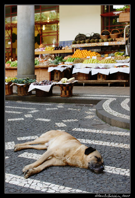 Mercado dos Lavradores, Funchal