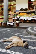 Mercado dos Lavradores, Funchal