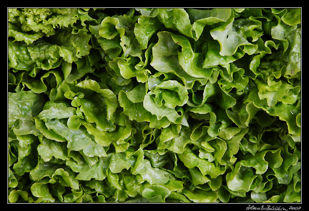 Mercado dos Lavradores, Funchal