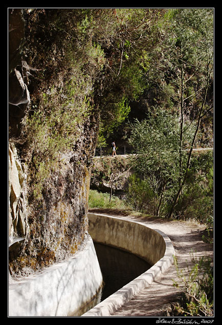 Levada dos Tornos