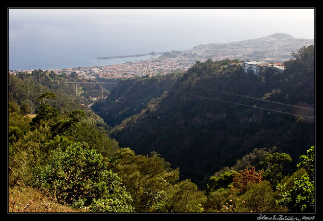 Levada dos Tornos