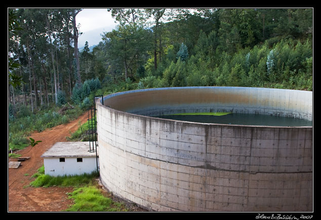 Levada dos Tornos