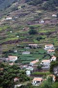 fields at Machico