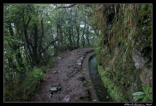 Levada do Furado