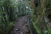 Levada do Furado