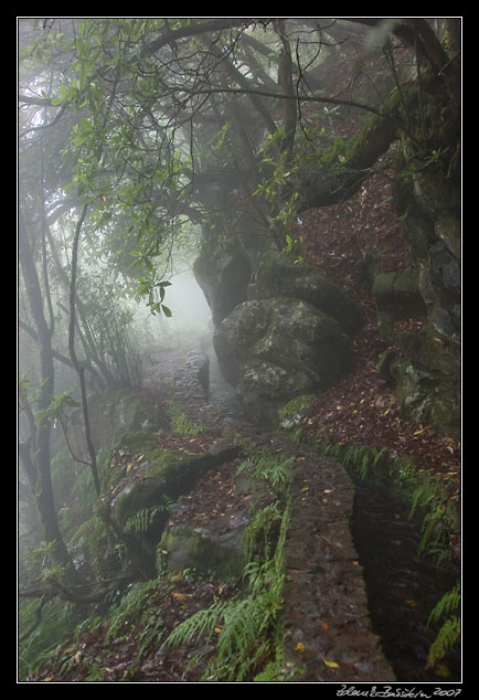 Levada do Furado