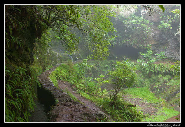 Levada do Furado