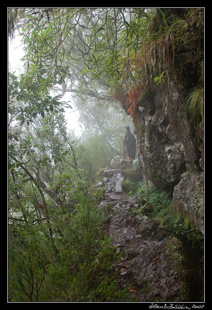 Levada do Furado