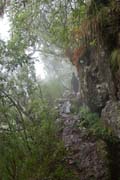 Levada do Furado