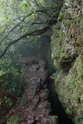 Levada do Furado