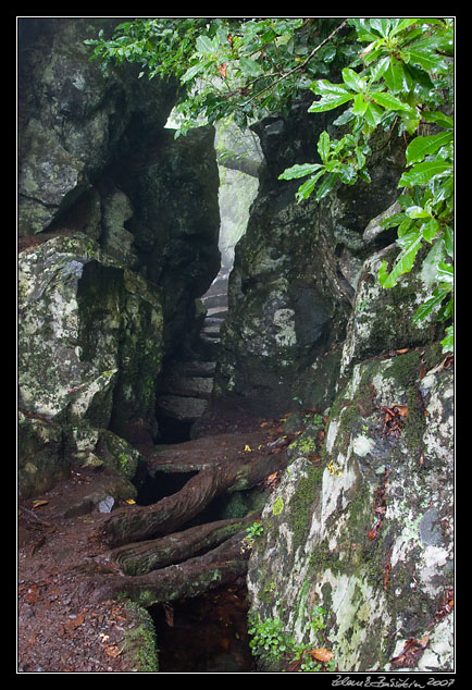 Levada do Furado