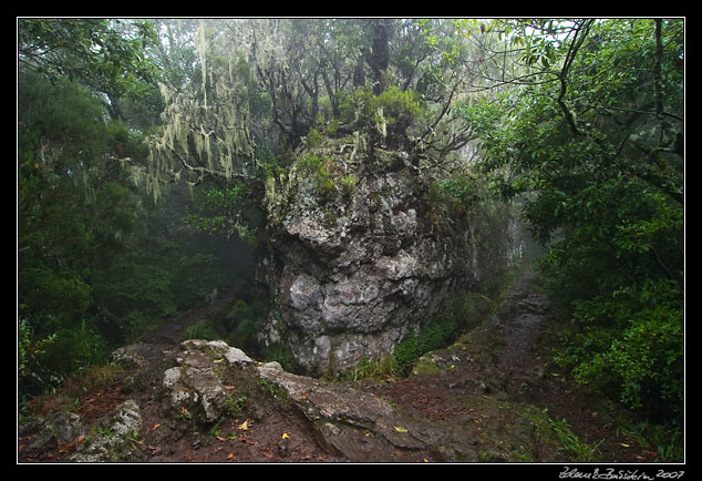 Levada do Furado