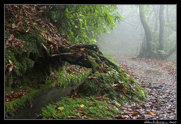 Levada do Furado