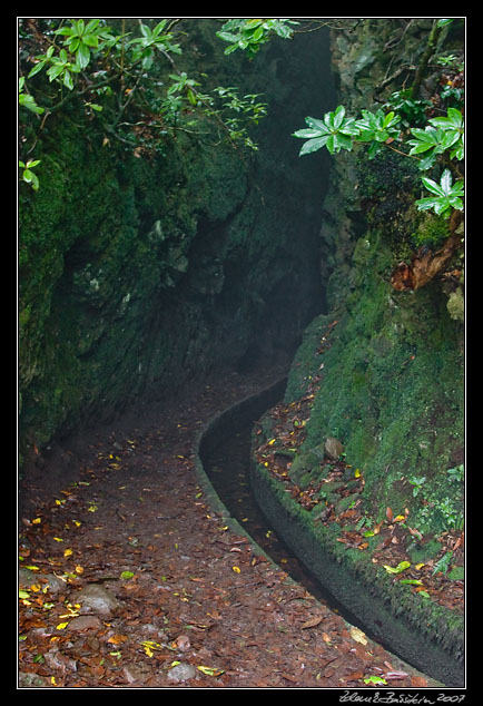 Levada do Furado