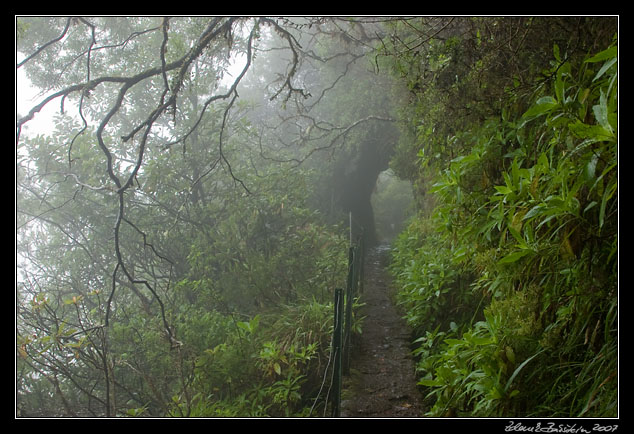 Levada do Furado