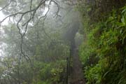 Levada do Furado