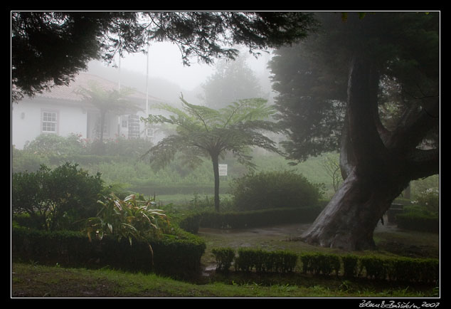 Lamaceiros forestry house