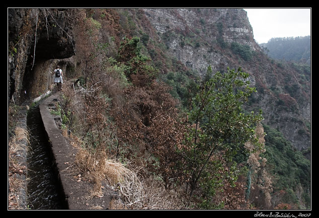 Levada do Curral