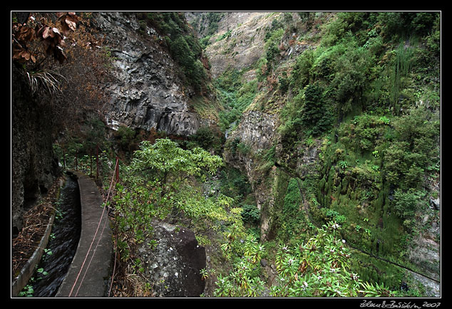 Levada do Curral