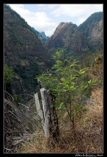 Socorridos Valley