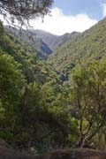 a view from Levada do Caldeirao