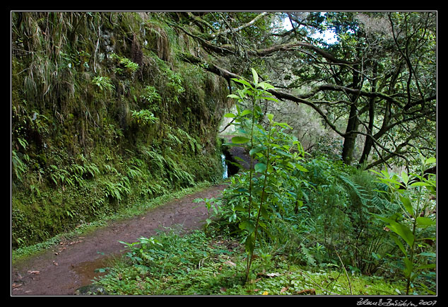 Levada do Caldeirao