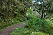 Levada do Caldeirao