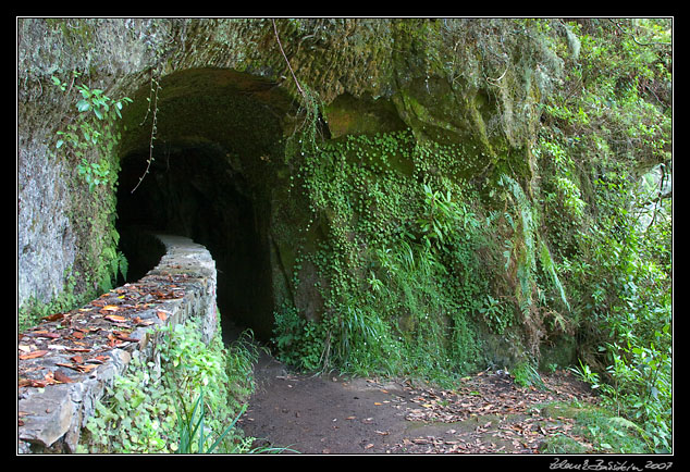 Levada do Caldeirao