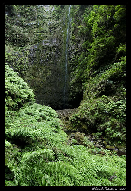 Caldeirao Verde