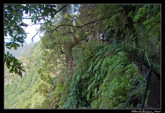 Levada do Caldeirao