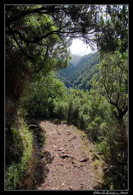 Levada do Caldeirao