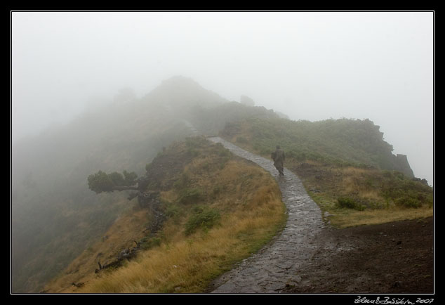 cobbled path from Achada do Teixeira to Pico Ruivo