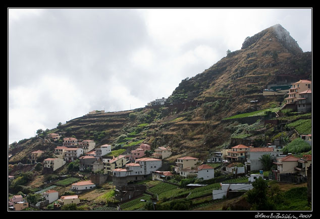 fields and homes above Camara de Lobos