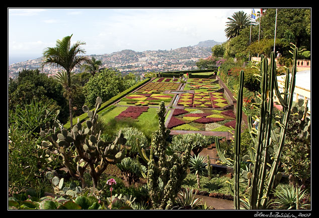 Jardim Botanico