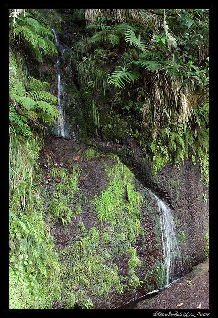 Levada do Risco