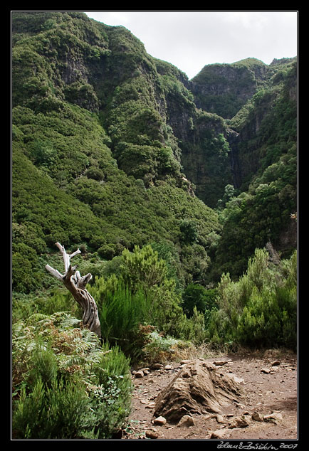 a valley with Cascata do Risco